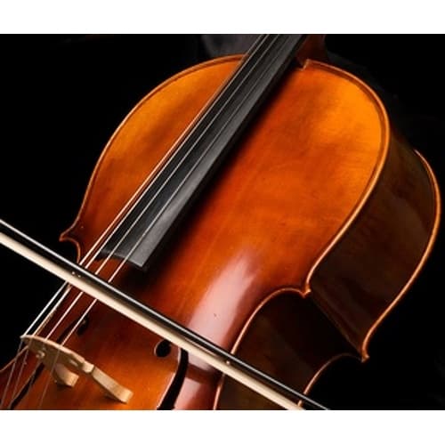 Radio Art - Franz Schubert