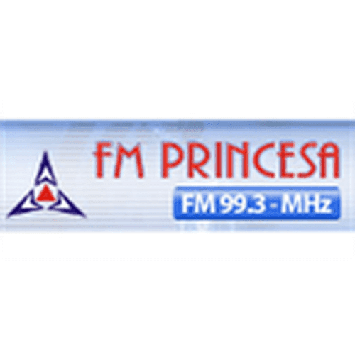 Rádio FM Princesa 99.3