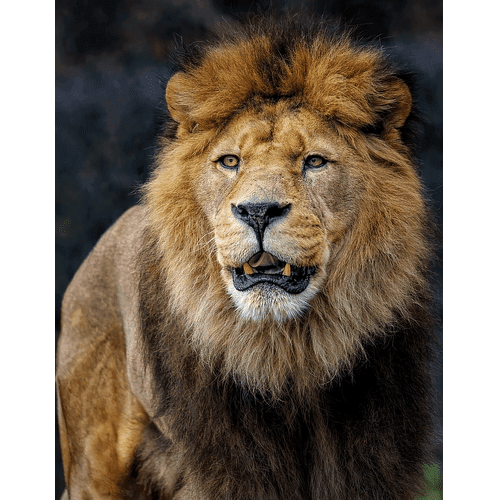 Latinoamerica Digital 100.1 FM