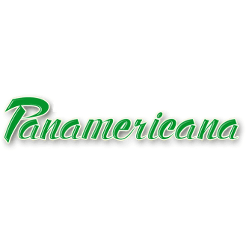 Panamericana Bolivia