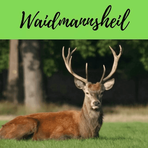 Waidmannsheil