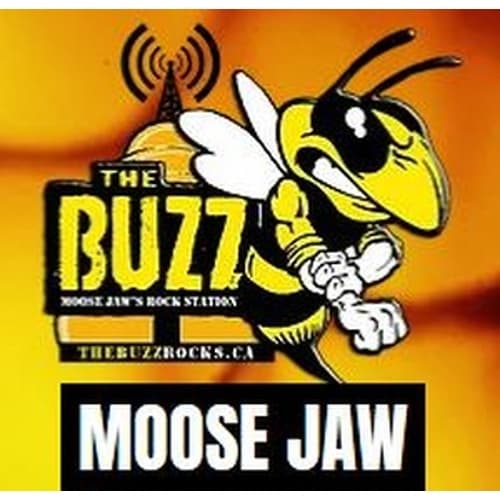 The Buzz Moose Jaw