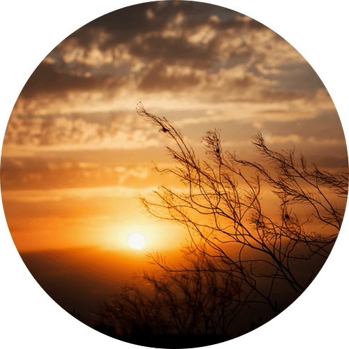 Open FM Good Evening