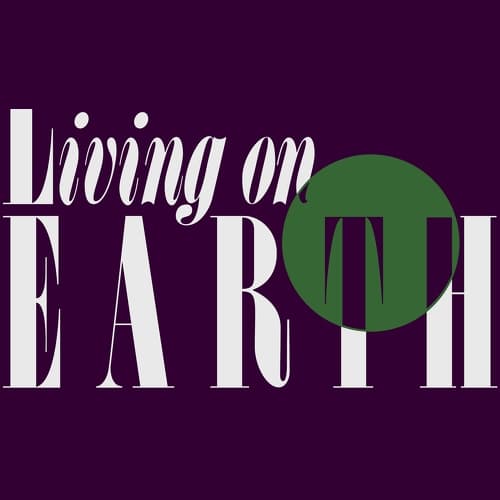 Live Nature Songs - Costa Rica