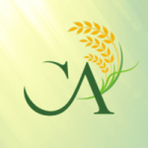 Rádio Capital do Arroz