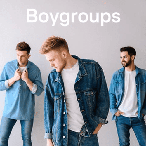 104.6 RTL - Boygroups