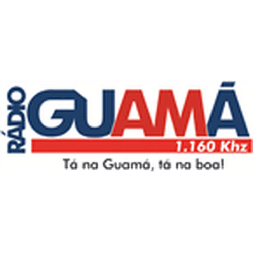 Rádio Guamá 91.1 FM