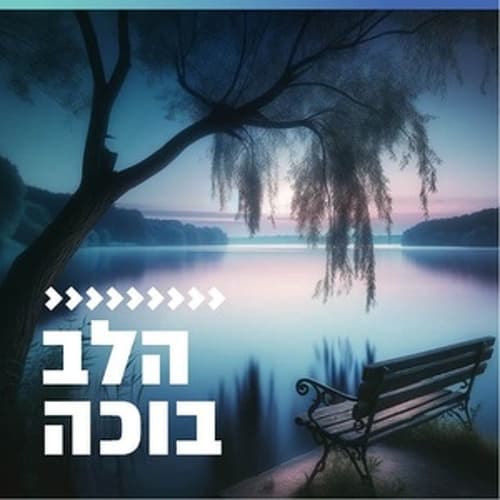 קול חי מיוזיק - הלב בוכה